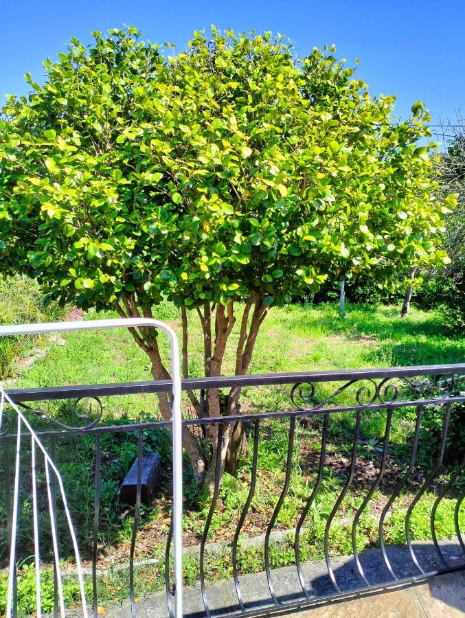 Maison Individuelle Padulella Sisco Dış mekan fotoğraf